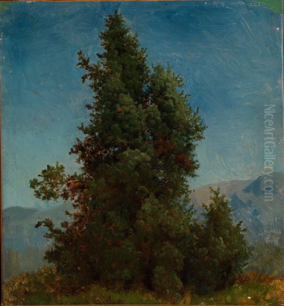 Study of Trees - view 1