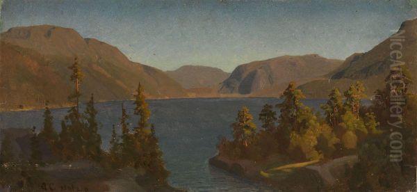 Lake in Telemark - view 1