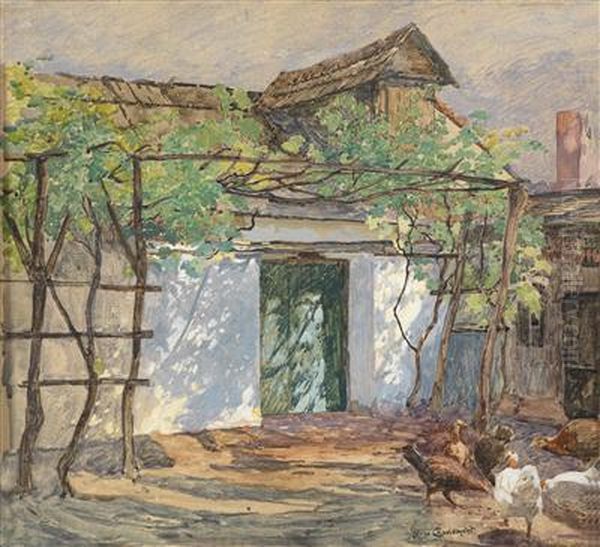 A Chicken Yard - view 1