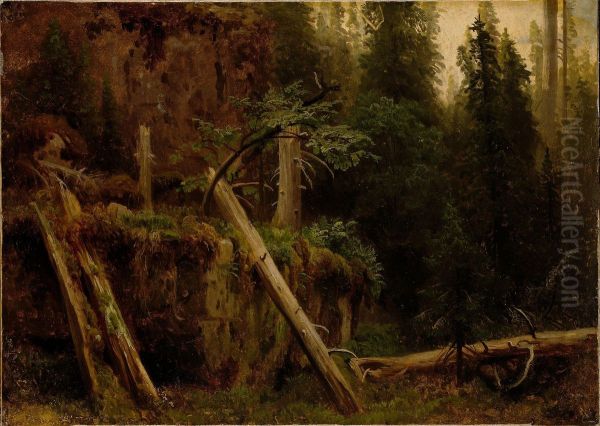 Landscape Study with decaying Trees - view 1