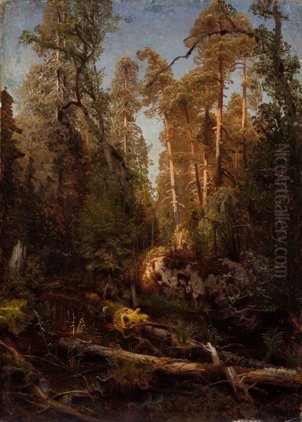 Forest Study - view 1