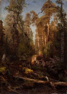 Forest Study Forest Study