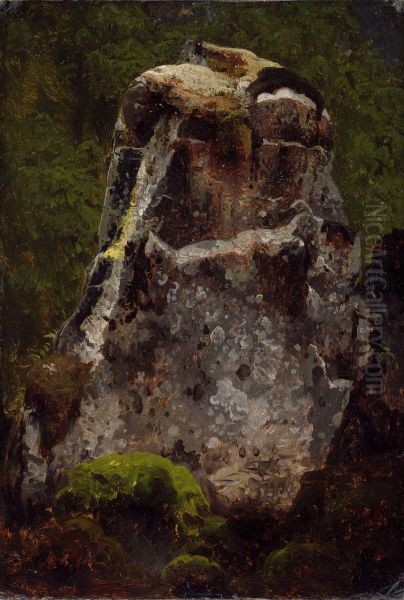 Mosegrodd kampestein - view 1