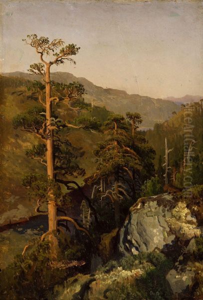 Skogstudie - view 1