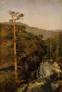 Skogstudie by August Cappelen