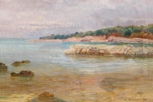 Bay Ofbrioni