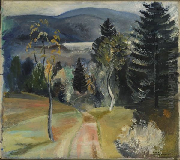 View from Hurdalen - view 1