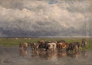 Cattle in the Polder