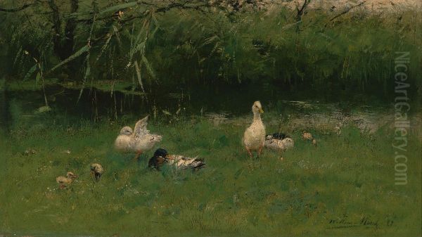 Ducks in the Grass near a Ditch - view 1