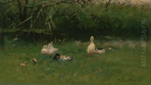Ducks in the Grass near a Ditch