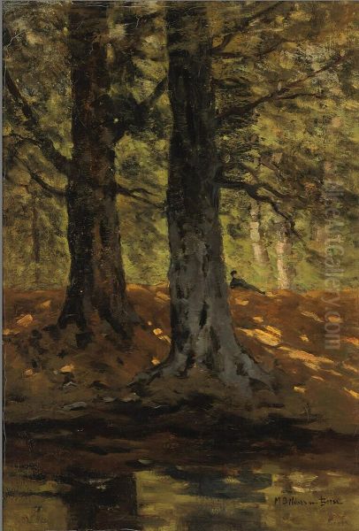 Forest View - view 1
