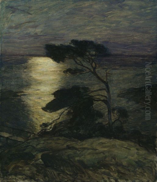 Pine Tree on the Coast in Moonlight - view 1