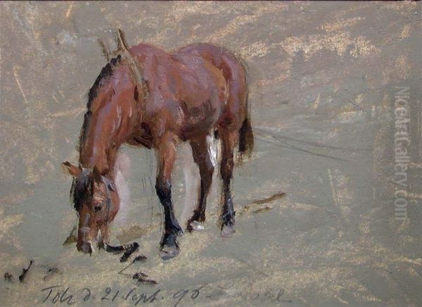 A Horse - view 1