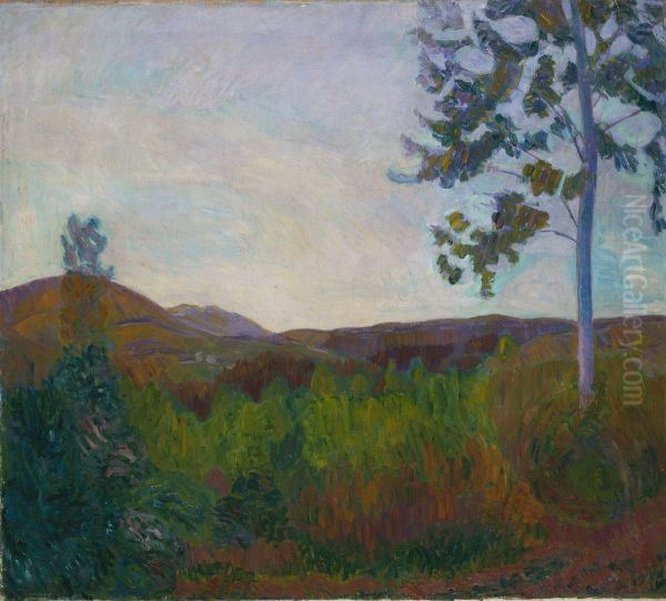 From Gausdal - view 1