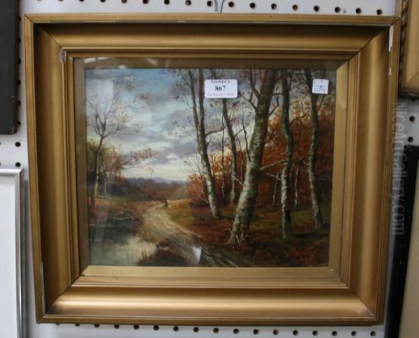 Landscape View With A Woman Walking Along A Woodland Path - view 1