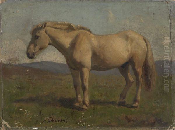 A dun Horse - view 1