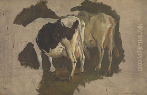 Study of two Cows, seen from behind Study of two Cows, seen from behind