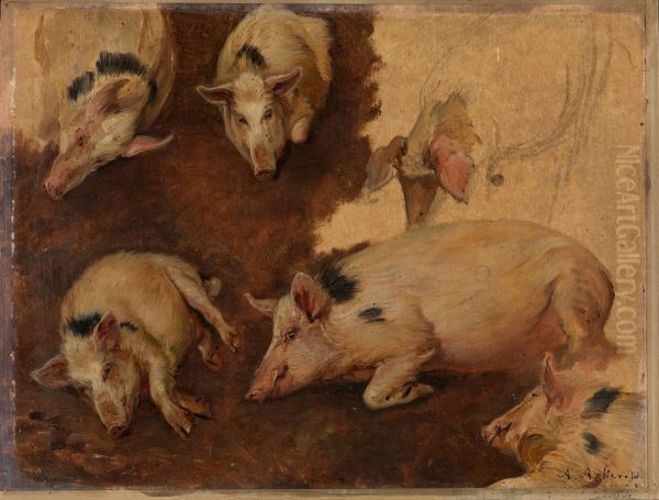 Study of six Pigs - view 1