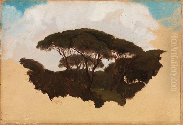 Study of Stone Pines - view 1