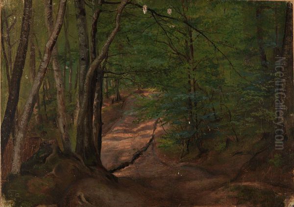 Road in the Forest - view 1