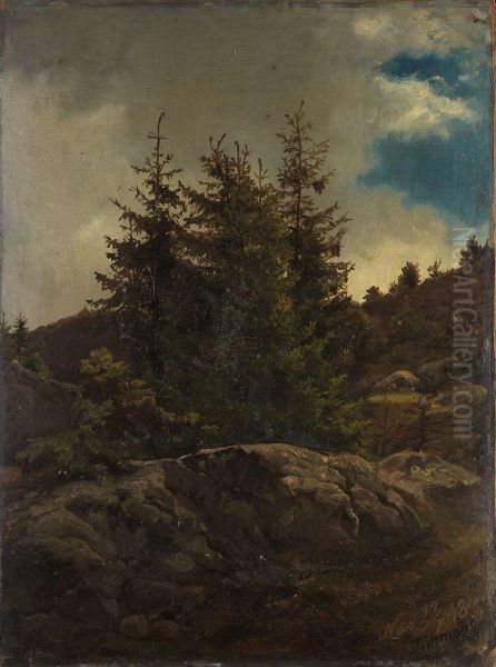 Landscape from Nes in Hallingdal - view 1