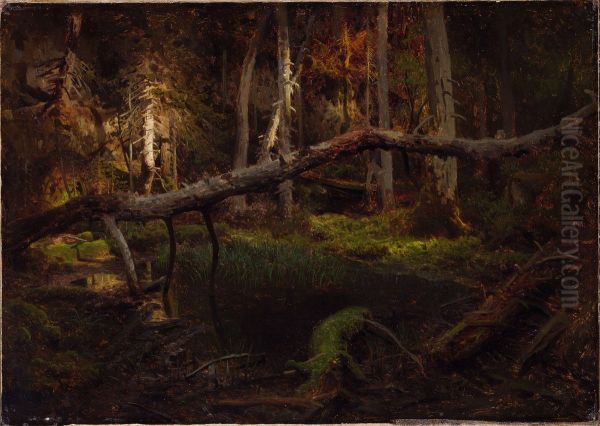 Study of a Decaying Wood - view 1