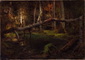 Study of a Decaying Wood by August Cappelen