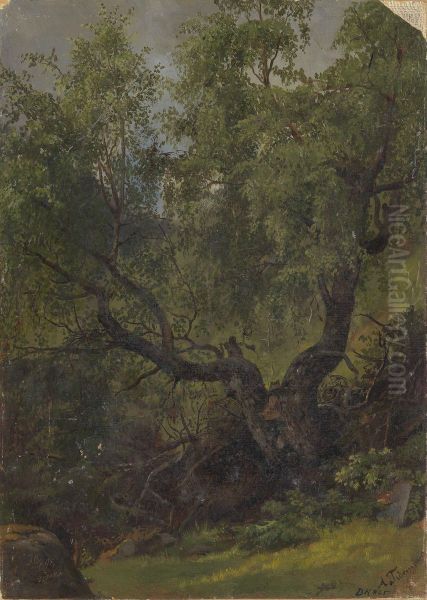 Forest Study from Numedal - view 1