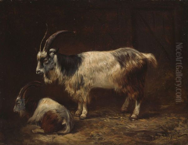 Two Goats - view 1