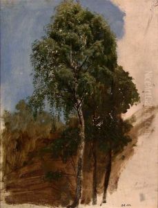 Study of Trees Study of Trees