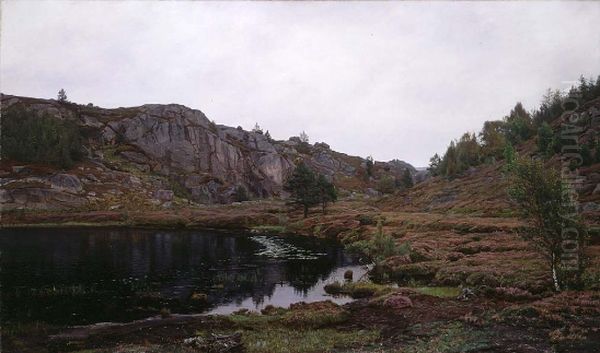 Ensomt sted. (Hoven ved Mandal) - view 1
