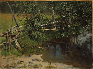 The Tarn The Tarn