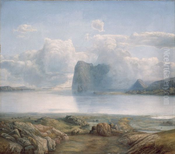 Island Borgoya - view 1
