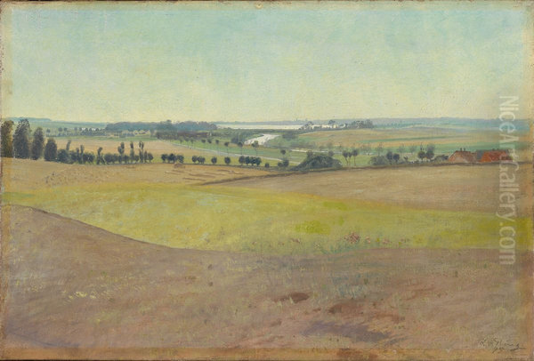 Dansk sommerlandskap - view 1