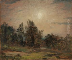 Trees on Hampstead Heath