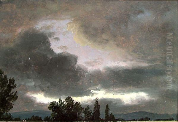 Storm Clouds over Tree Tops - view 1
