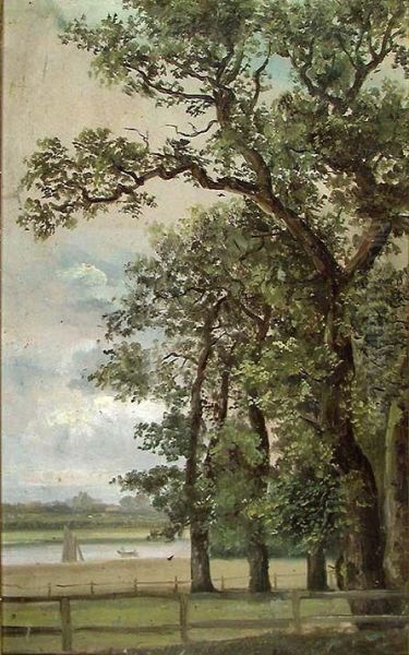 Oak Trees by the Elbe - view 1
