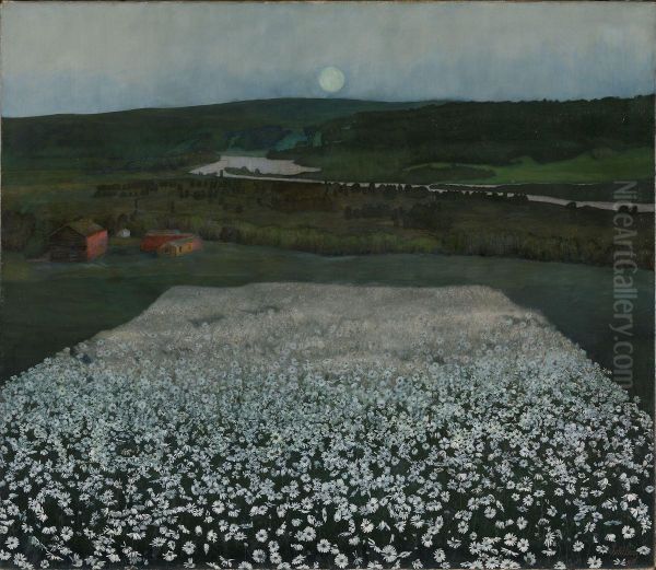 Flower Meadow in the North - view 1