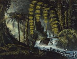 Foret Vierge Du Bresil by Charles Othon Frederic Jean Baptiste