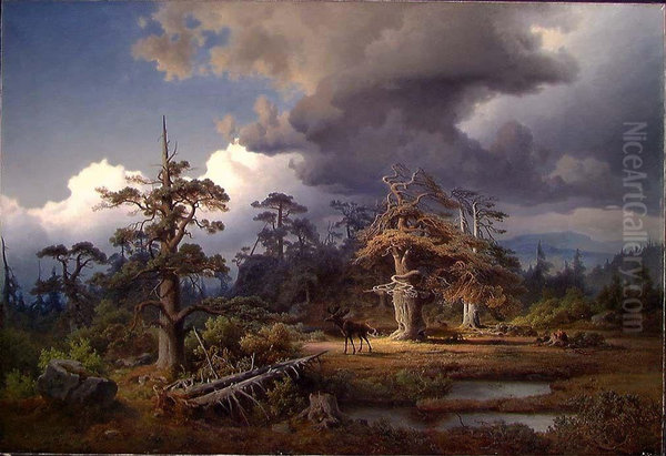Landscape from Telemark - view 1