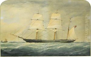 The P. & O. Steamship Company's Transport Ship