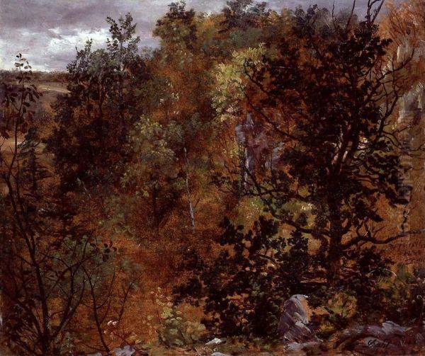 Autumn Woods near Maxen - view 1