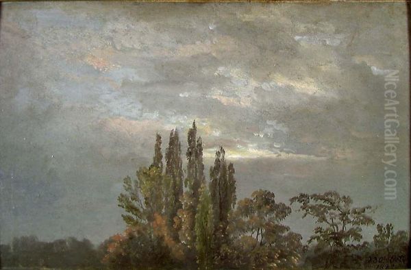 Morning Mist over Poplars - view 1