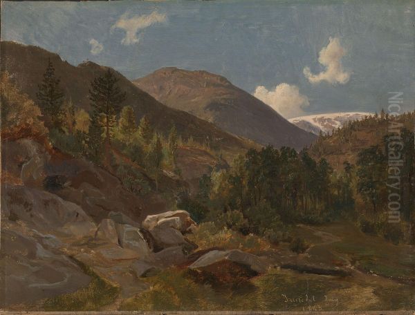 Norwegian Landscape - view 1