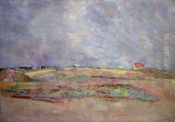 Landscape from Skagen, Denmark - view 1