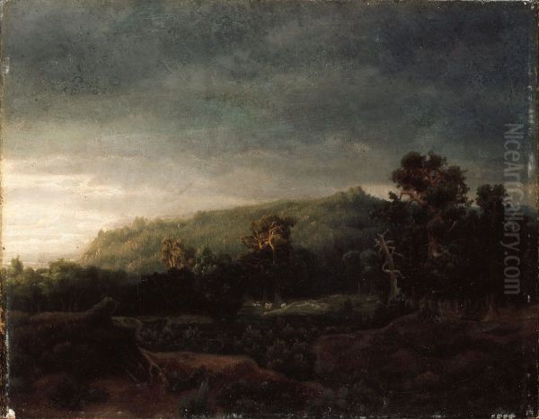 A Forest - view 1