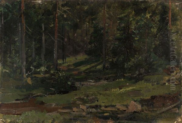 Wooded Landscape - view 1