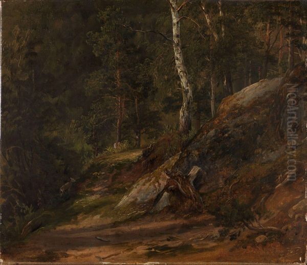 Forest Study from Romsdal - view 1