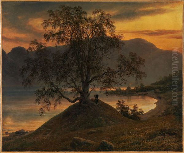 Old Birch Tree at the Sognefjord - view 1