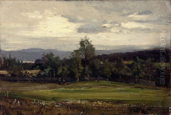 Fields at Hedmark in Summer - view 1
